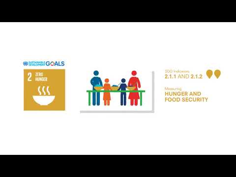 SDG 2 – Indicators of hunger and severity of food insecurity