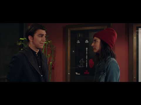 afbeelding One Last Night