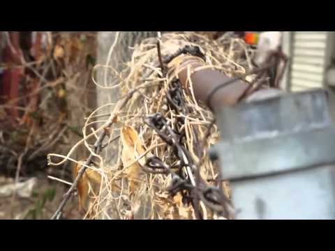 M Dubble So Throwed Out