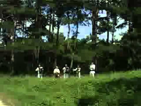 frunze vjardje flor marunce