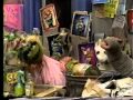 Sesame Street Grundgetta S Grouch Beauty Salon