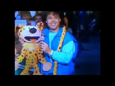 Dennie Christian - Guust Flater en de Marsupilami [1978]