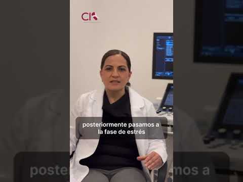 Mayra Guadalupe Espadas Villaseñor-4