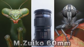 Video thumbnail for Olympus M.Zuiko Digital ED 60mm f2.8 Macro Lens Review by Xx7trey