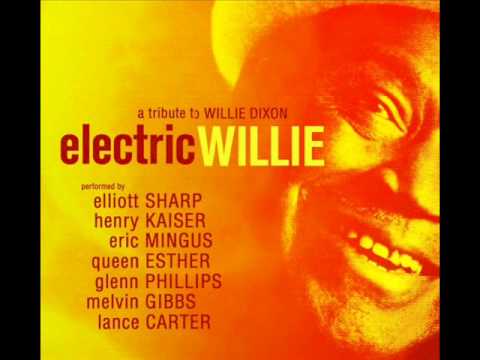 Elliott Sharp, A Tribute To Willie Dixon - It Don't Make Sense (You Can't Make Peace)