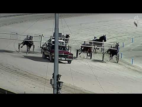 Aversa trotto 21 Novembre 2020 - 8° Corsa