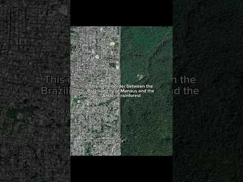 This is the border between the Brazilian city of Manaus and the Amazon Rainforest