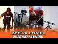 Mass Cycle Whatsapp Status