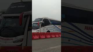 Download lagu bus pahala kencana dengan body Zeppelin g3😅 || #meme #automobile #busidmania #musicdjremix #bussid mp3