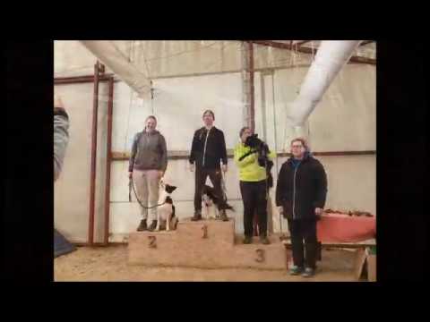 BoM Melody - kezdő agility - Kraft Vizsga Február 2020.02.02.