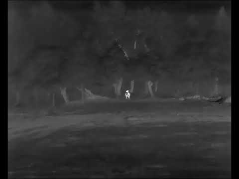 Hirsche ca. 100 m entfernt. Liemke Keiler 50 Pro Wärmebildkamera