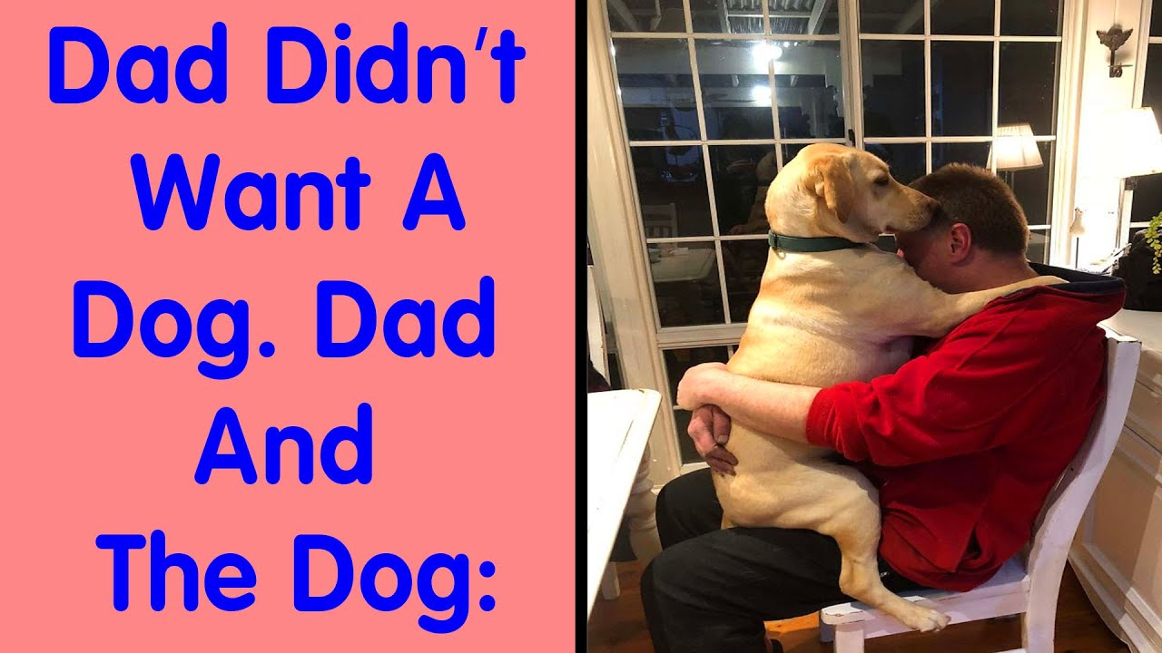 Dads Who Didn’t Want The Damn Pet In Their Lives - Cute Animal