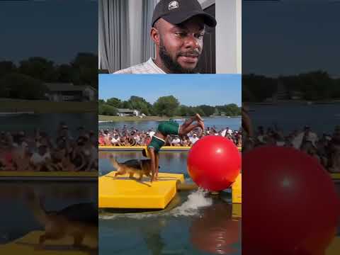 Wow! Man vs Dog