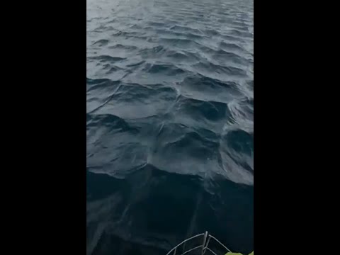 Rätselhafte Muster im Mittelmeer: Diese Wellen können gefährlich sein