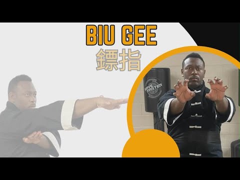 Biu Gee | Wing Chun’s Most Dangerous Form
