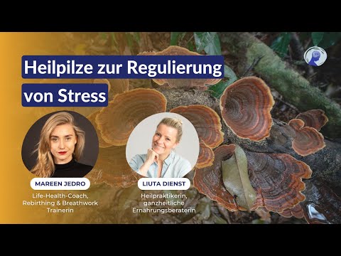 Heilpilze für die ganzheitliche Gesundheit von Körper und Geist - Mareen Jedro