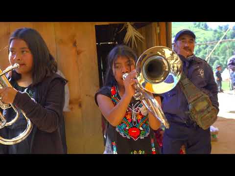 Asi suena el Toro meko con la banda sin fronteras puro Oaxaca