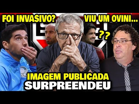 CLOSED!! +1 BILLIONAIRE CLUB! •SAF •SPFC: Journalist CRITICIZES REINFORCEMENT •ABEL inspector of ...