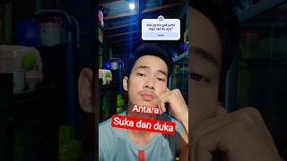 Download lagu If you know the song title, COMMENT BELOW 🙏 #donirastefagabut #shorts #short mp3