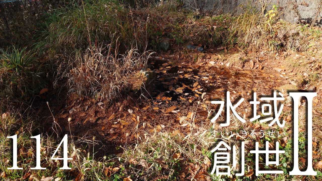 マザーグース　水域創世Ⅱ- 114【4K】