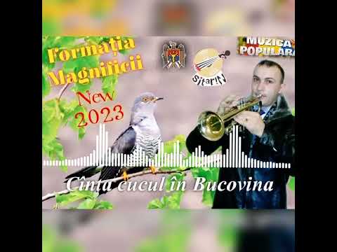 Formația Magnificii Nisporeni New 2023 ReMix - Trompeta Cînta cucul în Bucovina. 👍🎺🎺🎺🎶🎵🎼🇲🇩🙏