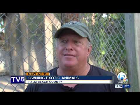 How to own dangerous, exotic animals in Florida