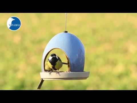 Vierno Taverne - rood; blauw; groen