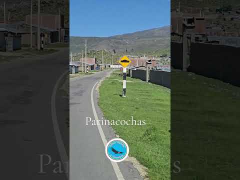 por las rutas de Parinacochas Ayacucho 2026