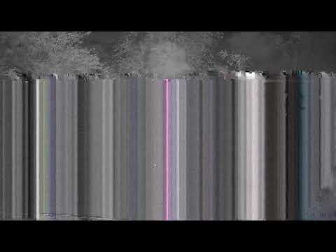 Djuma: Genet on the prowl - 02:33 - 02/09/2022