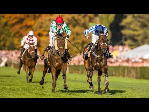 Přenos ČT Sport: Sledujte první kvalifikaci 130. Velké pardubické