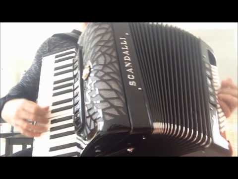 NETINHO NO FORRÓ - Diego Reis