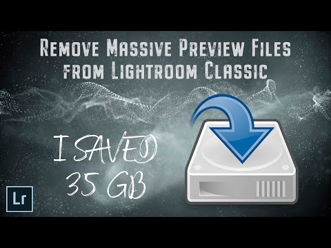 Remove Massive Preview Files from Lightroom Classic