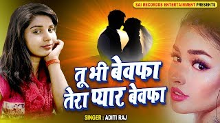 Tu Bhi Bewafa Tera Pyar Bewafa  Aditi Raj  Hindi S