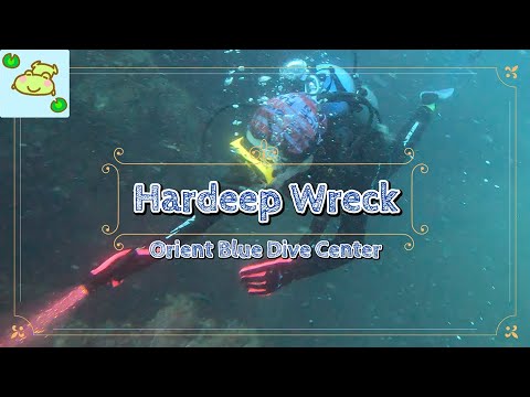 Hardeep Wreck #25