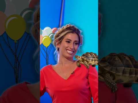 Who wouldn't sing Happy Birthday to a tortoise? 🤷‍♀️ #WouldILieToYou #WILTY #comedyshow #shorts