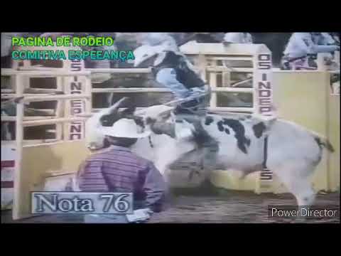 JIM SHARP , TOURO TO FORA , BARRETOS 97