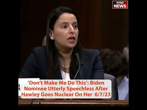 "Don't Make Me Do This": Biden Nominee Utterly Speechless After Hawley Goes Nuclear