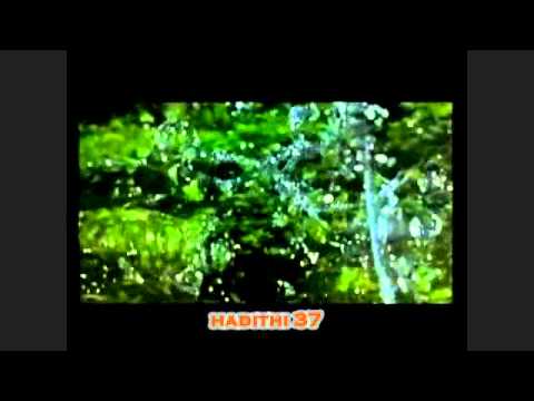 Vepra e mirë deri në 700 shpërblime  / Hadithi 37