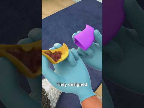 Eagle Gets A 3D Printed Beak 🥲