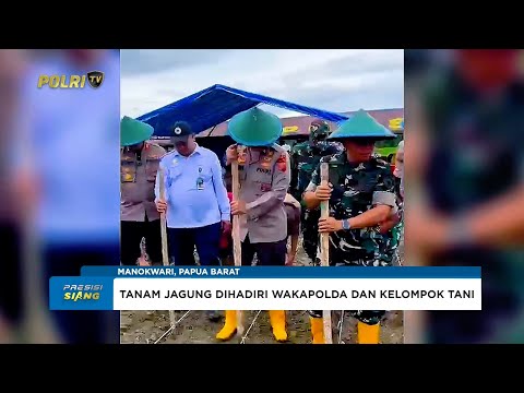 POLDA PAPUA BARAT TANAM RAYA JAGUNG SERENTAK KUARTAL IV MENDUKUNG KETAHANAN PANGAN