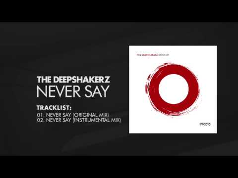 The Deepshakerz - Never Say [Intacto Records]