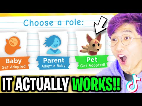 Can We Use ADOPT ME TIK TOK HACKS To PLAY AS A PET!? (NEW HACK ACTUALLY WORKS!!)