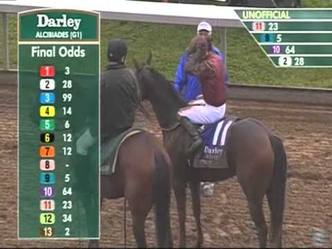 2014 Darley Alcibiades Stakes - Peace and War