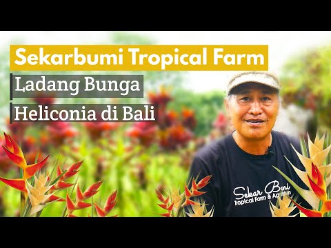 Kunci Sukses Sekarbumi Farm Dalam Pertahankan Eksistensi Pasar dan Tingkatkan Agrowisata di Bali