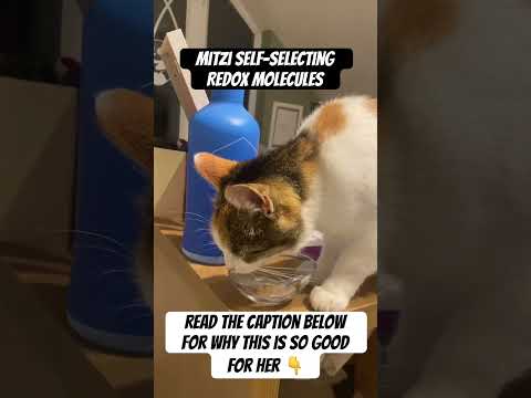 Mitzi My Cat Self-Selecting Redox Molecules
