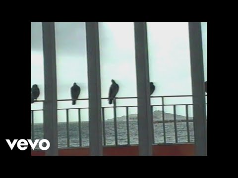 Peter Peter - Conversation