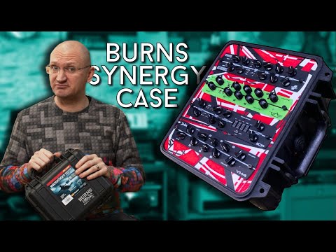 Burns Delta Model 4 Slot Case, Black, Synergy Randall Egnater MTS Preamp Modules image 9