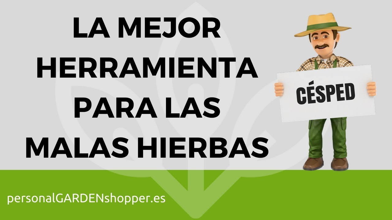 LA MEJOR HERRAMIENTA PARA QUITAR LAS MALAS HIERBAS DEL CÉSPED