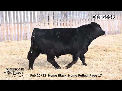 Lonesome Dove Bull Lot DRT 292K sells Friday, March 3, 2023