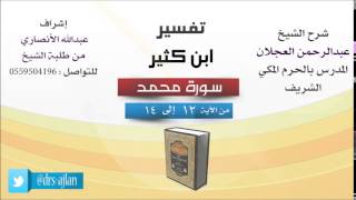تفسير ابن كثير | شرح الشيخ عبدالرحمن العجلان | 5- سورة محمد | من الأية 12 إلى 14 image